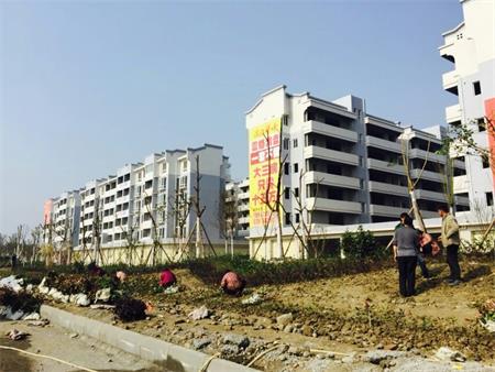 遂資眉高速路出口綠化工程(圖5) 遂資眉高速路出口綠化工程(圖5)