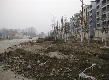 遂資眉高速路出口綠化工程(圖2) 遂資眉高速路出口綠化工程(圖2)